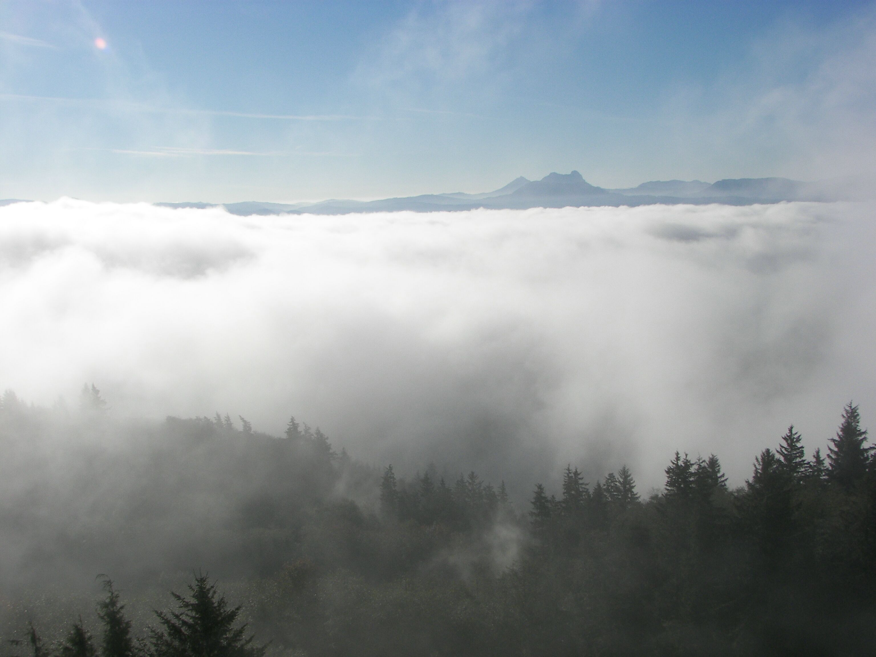 View from top of Astoria Column